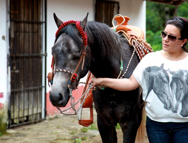  Passeios equestres 